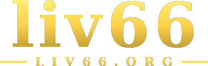 liv66 logo